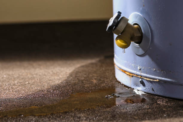 Reliable MN Water damage restoration Solutions