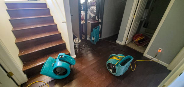 Best Ceiling water damage repair  in Maple Grove, MN