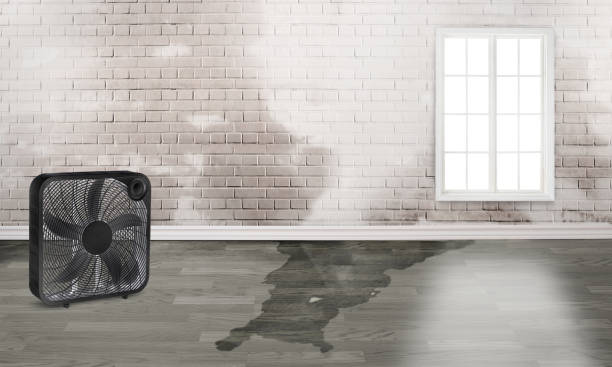 Best Sewage cleanup and water damage restoration  in Maple Grove, MN