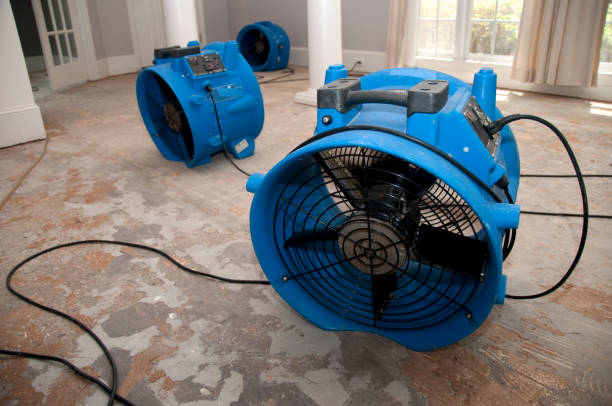 Best Water damage mitigation services  in Maple Grove, MN