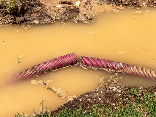 Best 24-hour water damage restoration  in Maple Grove, MN